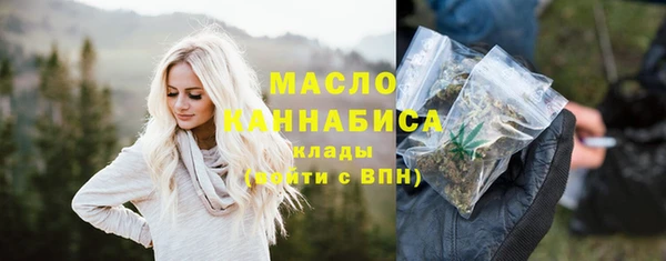 твердый Бородино