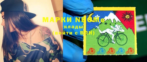 твердый Богородск