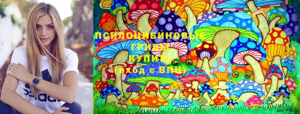 твердый Бородино